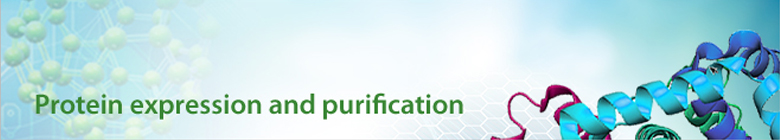 PROTEINEXPRESSION-y