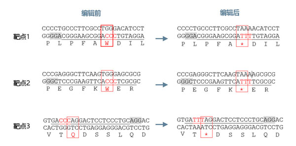 Cas9 target design