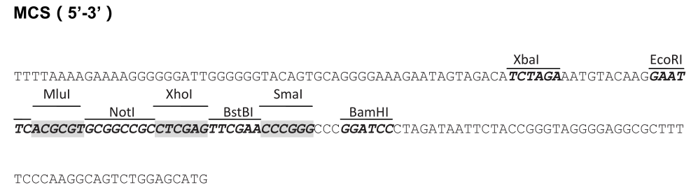 VL3301-1.png