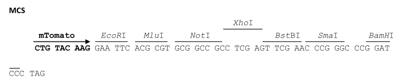VL3219.png