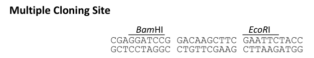 VL3102.png