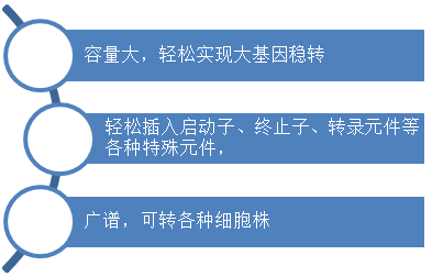 图片11.png